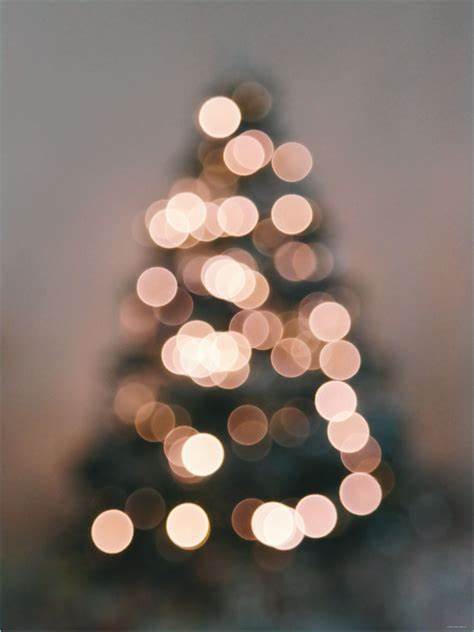 Premium Adventskalender (limitiert)