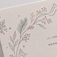 The Christmas Premium Box